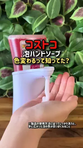 コストコ好き主婦みんごのTikTok投稿