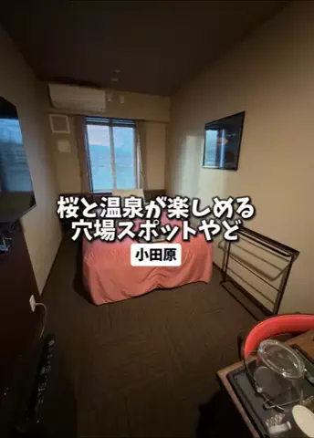 日本グルメのTikTok投稿