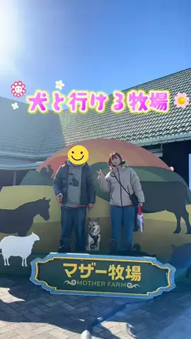 NaNaえのきど🎸🐕のTikTok投稿