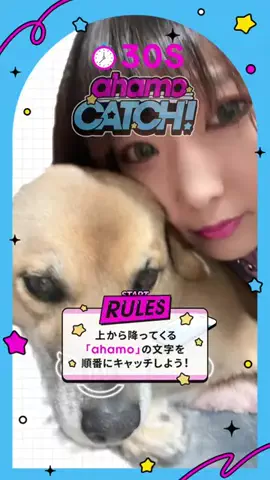 NaNaえのきど🎸🐕のTikTok投稿
