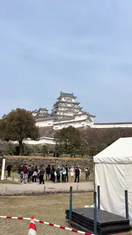 日本語くまさんのTikTok投稿