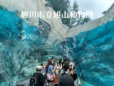日本語くまさんのTikTok投稿