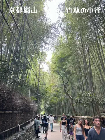日本語くまさんのTikTok投稿