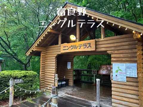 日本語くまさんのTikTok投稿
