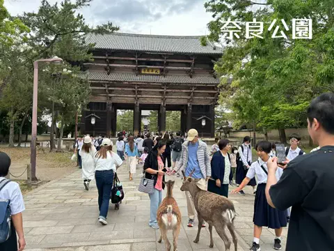 日本語くまさんのTikTok投稿