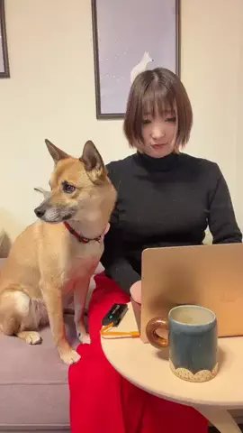 NaNaえのきど🎸🐕のTikTok投稿