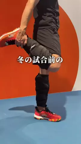 ひなまるのTikTok投稿