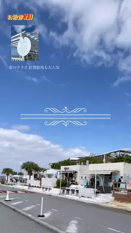 お散歩keiのTikTok投稿