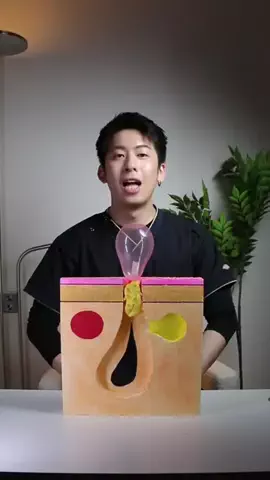 なり｜学べるスキンケアのTikTok投稿