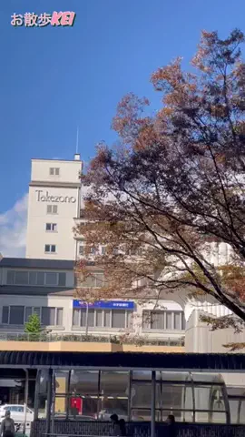 お散歩keiのTikTok投稿