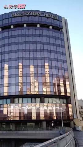 お散歩keiのTikTok投稿