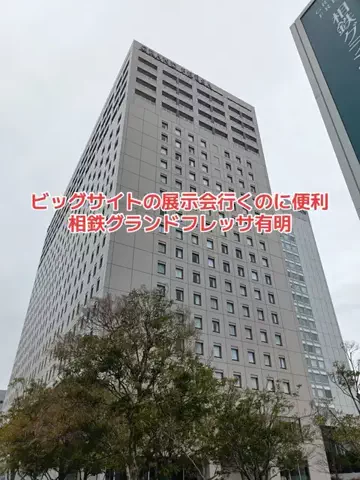 野良猫　イチくんとナナちゃんのTikTok投稿