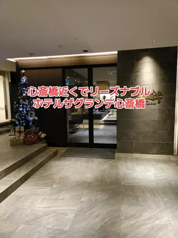 野良猫　イチくんとナナちゃんのTikTok投稿