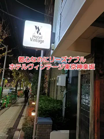 野良猫　イチくんとナナちゃんのTikTok投稿