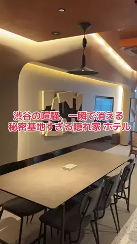 野良猫　イチくんとナナちゃんのTikTok投稿