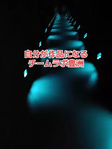 野良猫　イチくんとナナちゃんのTikTok投稿