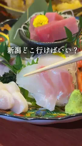 ハル｜新潟グルメ＆カフェ巡りのTikTok投稿