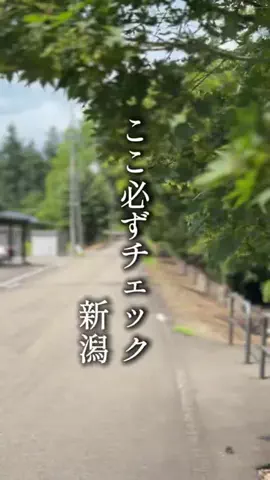 ハル｜新潟グルメ＆カフェ巡りのTikTok投稿
