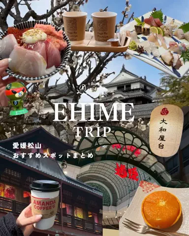 ゆ【酒・グルメ・旅】のTikTok投稿