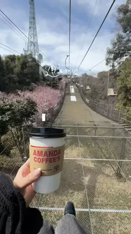 ゆ【酒・グルメ・旅】のTikTok投稿