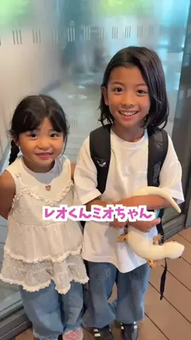 れおみおのTikTok投稿