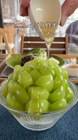 しっぽのTikTok投稿