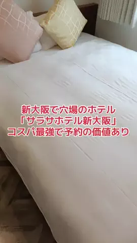野良猫　イチくんとナナちゃんのTikTok投稿