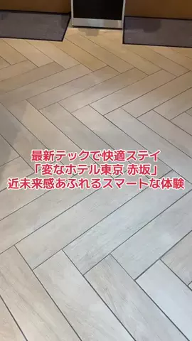 野良猫　イチくんとナナちゃんのTikTok投稿