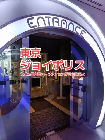野良猫　イチくんとナナちゃんのTikTok投稿