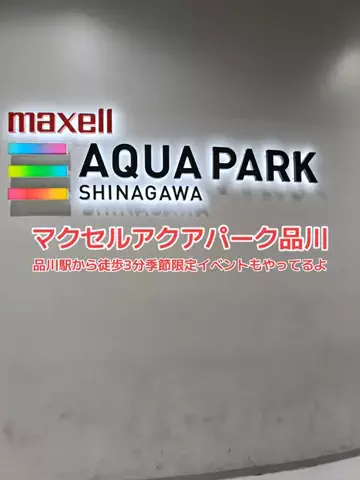 野良猫　イチくんとナナちゃんのTikTok投稿