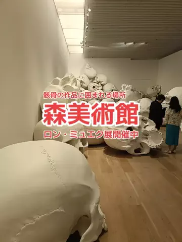 野良猫　イチくんとナナちゃんのTikTok投稿