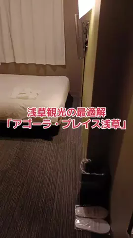 野良猫　イチくんとナナちゃんのTikTok投稿