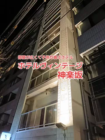 野良猫　イチくんとナナちゃんのTikTok投稿