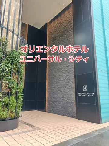 野良猫　イチくんとナナちゃんのTikTok投稿