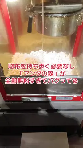 野良猫　イチくんとナナちゃんのTikTok投稿