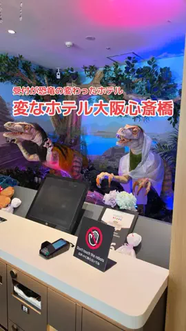野良猫　イチくんとナナちゃんのTikTok投稿