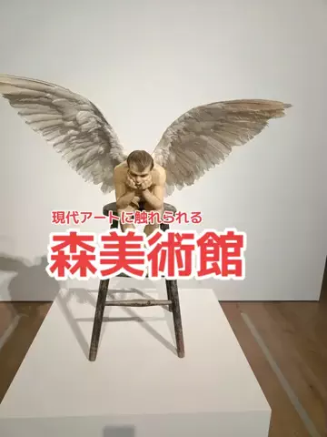 野良猫　イチくんとナナちゃんのTikTok投稿