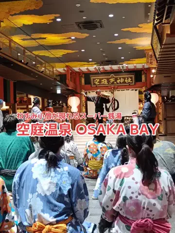 野良猫　イチくんとナナちゃんのTikTok投稿