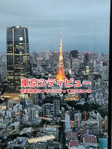野良猫　イチくんとナナちゃんのTikTok投稿