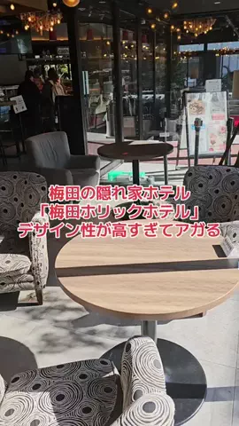 野良猫　イチくんとナナちゃんのTikTok投稿