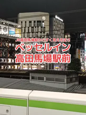 野良猫　イチくんとナナちゃんのTikTok投稿