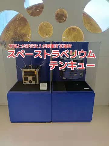 野良猫　イチくんとナナちゃんのTikTok投稿