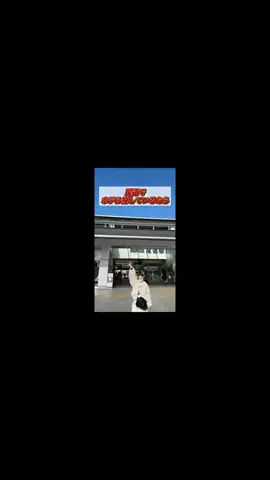 トコトコ日記✈️｜旅とホテル案内のTikTok投稿