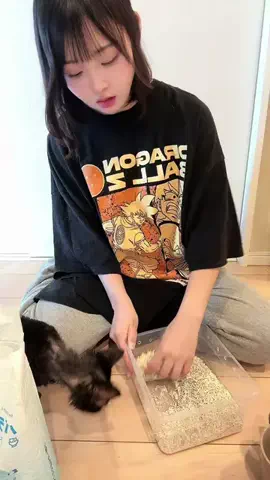 とっぽのTikTok投稿