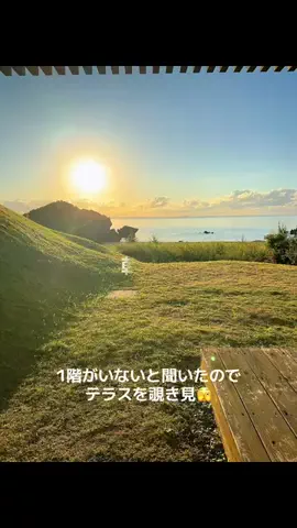 ♥️気まぐれmarryの大人旅🚗のTikTok投稿
