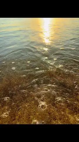 ♥️気まぐれmarryの大人旅🚗のTikTok投稿
