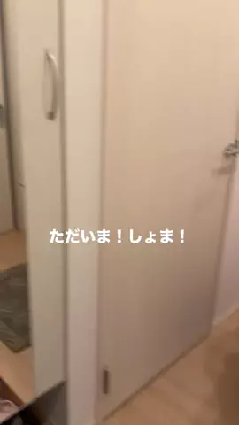 わすれなcp🌞(みずきとしょま)のTikTok投稿