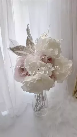 𝒎𝒂𝒑𝒍𝒆🤍のTikTok投稿