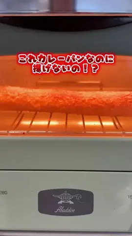 あるママのTikTok投稿
