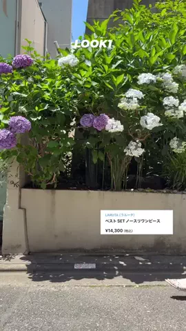 coconeのTikTok投稿